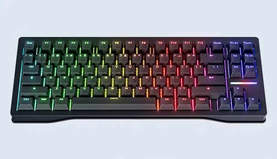 Wooting 80HE tenkeyless keyboard viewed from above on a plain grey background, black keycaps with rainbow per-key backlighting and an integrated wrist rest